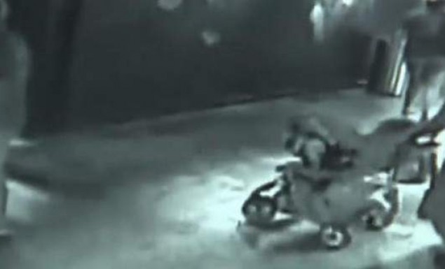 Εκλεψαν καρχαρία από ενυδρείο, τον έντυσαν «μωρό» και τον έβγαλαν έξω με καροτσάκι! (vid)