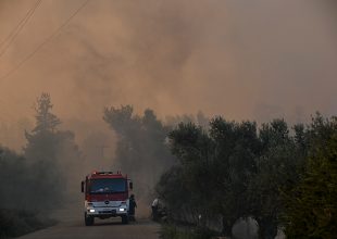 Ανεξέλεγκτη η πύρινη λαίλαπα στην Εύβοια – Ενισχύονται οι δυνάμεις πυρόσβεσης