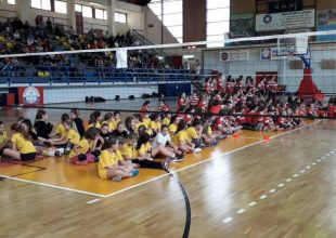 Σε τουρνουά στο Κερατσίνι οι ακαδημίες της ΑΕΚ