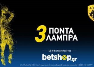 «Βάλε κι εσύ το δικό σου λιθαράκι για το Ίδρυμα “Μητέρα”»