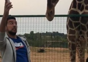 Η καμηλοπάρδαλη που κατατρόμαξε τον Χασάν