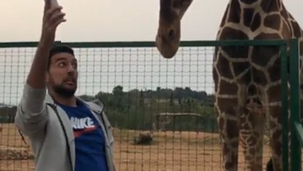 Η καμηλοπάρδαλη που κατατρόμαξε τον Χασάν