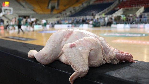 Εβαλαν κοτόπουλα στον πάγκο του Ολυμπιακού