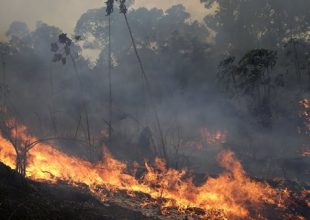 Αμαζόνιος: Οι πυρκαγιές δεν θα σβήσουν από τις βροχές σύμφωνα με ειδικούς