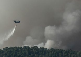 Πυρκαγιά στην Εύβοια: Από εμπρησμό η φωτιά – Ανακρίνεται ένα άτομο