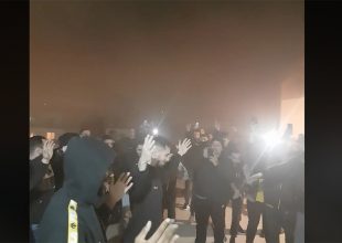 Πανικός για τη Βασίλισσα στη Ρόδο (vid)