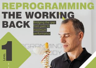 Στις 28 Μαρτίου το “Reprogramming The Working Back”