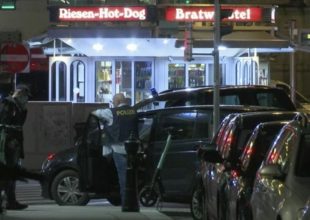 Επίθεση- Βιέννη: 14 συλλήψεις στην Αυστρία- Οι εκτιμήσεις των αρχών για τον βασικό δράστη