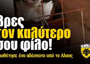 ΠΑΕ ΑΕΚ: «Βρες τον καλύτερο σου φίλο!» (ΦΩΤΟ)