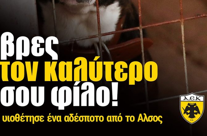 ΠΑΕ ΑΕΚ: «Βρες τον καλύτερο σου φίλο!» (ΦΩΤΟ) ΠΑΕ ΑΕΚ: «Βρες τον καλύτερο σου φίλο!» (ΦΩΤΟ)