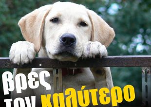 ΠΑΕ ΑΕΚ: «Ο πιο πιστός φίλος σε περιμένει στη Νέα Φιλαδέλφεια» (ΦΩΤΟ)