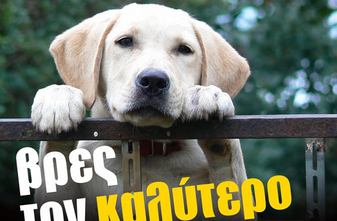 ΠΑΕ ΑΕΚ: «Ο πιο πιστός φίλος σε περιμένει στη Νέα Φιλαδέλφεια» (ΦΩΤΟ)