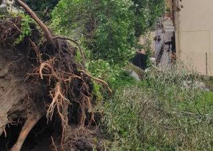 Κέρκυρα: Οι θυελλώδεις άνεμοι ξερίζωσαν δέντρα – Προβλήματα απο την κακοκαιρία
