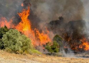Πύργος: Οριοθετήθηκε η φωτιά στην Σμέρνα Ηλείας