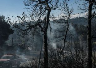Φωτιά στον Σχίνο: Συγκλονιστικές εικόνες καταστροφής από drone