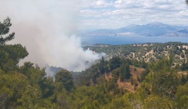 Φωτιά στα Γεράνεια Όρη: Οριοθετήθηκε και συνεχίζεται η μάχη για την πλήρη κατάσβεση