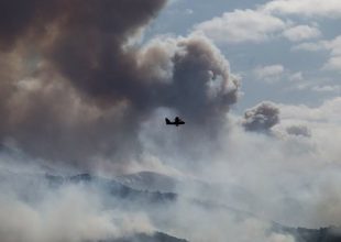 Φωτιά στην Κορινθία: Καύση γεωργικών υπολειμμάτων σε ελαιώνα, η αιτία
