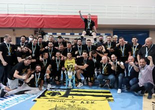 Σάρωσαν τα βραβεία της Handball Premier οι Μάγκες