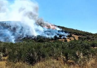 Νέα Στύρα Ευβοίας: Βελτίωση της εικόνας – “Ελέγχουμε τη φωτιά” δηλώνει ο δήμαρχος
