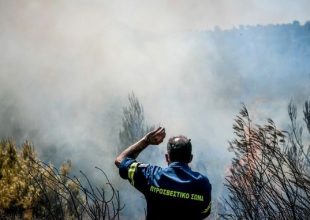 Φωτιά στην Κάρυστο – Καίγεται δασική έκταση