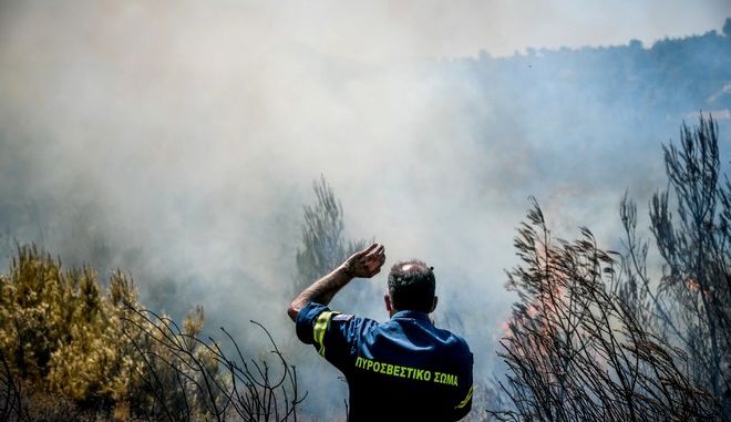 Φωτιά στην Κάρυστο – Καίγεται δασική έκταση