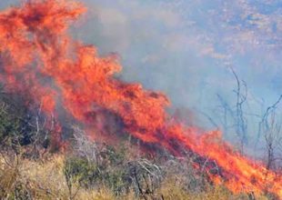 Μαίνεται η φωτιά στην Αργολίδα: Εκκενώθηκε το χωριό Γκάτζια