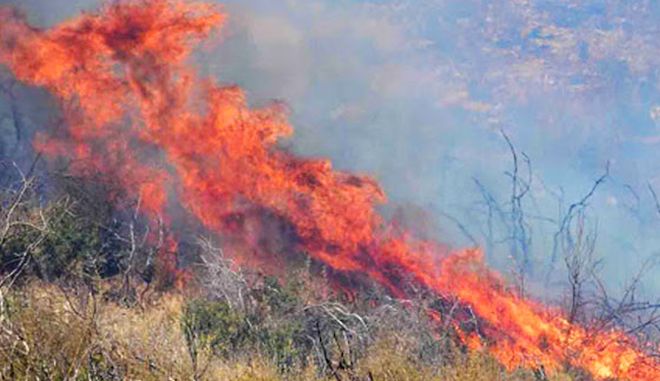 Μαίνεται η φωτιά στην Αργολίδα: Εκκενώθηκε το χωριό Γκάτζια