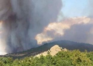 Αλεξανδρούπολη: Φωτιά στη Λευκίμμη – Εκκενώθηκε οικισμός