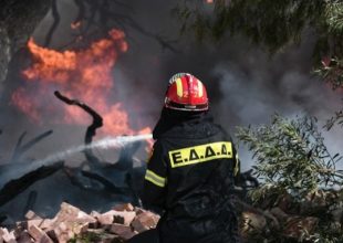 Φωτιά στην Κεφαλονιά: Ενισχύθηκαν οι πυροσβεστικές δυνάμεις – Εκκενώθηκε οικισμός