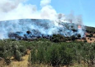 Φωτιά στα Στύρα Ευβοίας: Εκκενώθηκαν δύο οικισμοί – “Εφιαλτική η κατάσταση”, λέει ο Δήμαρχος