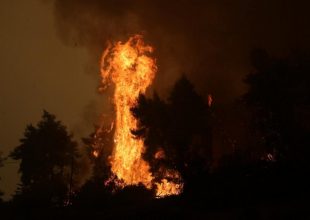 Εύβοια: Φούντωσε η φωτιά στις Καματριάδες – Ενώθηκαν τα πύρινα μέτωπα στην Αβγαριά