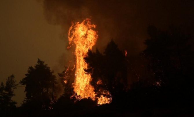 Εύβοια: Φούντωσε η φωτιά στις Καματριάδες – Ενώθηκαν τα πύρινα μέτωπα στην Αβγαριά