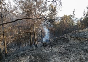 Φωτιά τώρα στη Βαρυμπόμπη – Στη μάχη και το ρωσικό Beriev – Μήνυμα από το 112 – Δείτε βίντεο
