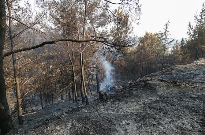 Φωτιά τώρα στη Βαρυμπόμπη – Στη μάχη και το ρωσικό Beriev – Μήνυμα από το 112 – Δείτε βίντεο