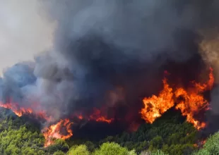 Ξέσπασε φωτιά κοντά στους Δελφούς: Σπεύδουν αεροπλάνα και ελικόπτερα