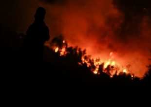 Φωτιά στην Εύβοια: Δραματική η κατάσταση – Απειλούνται χωριά