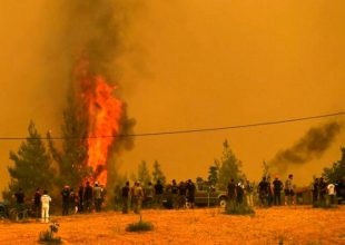 Εύβοια: Νέα φωτιά στα Μεσοχώρια Καρύστου