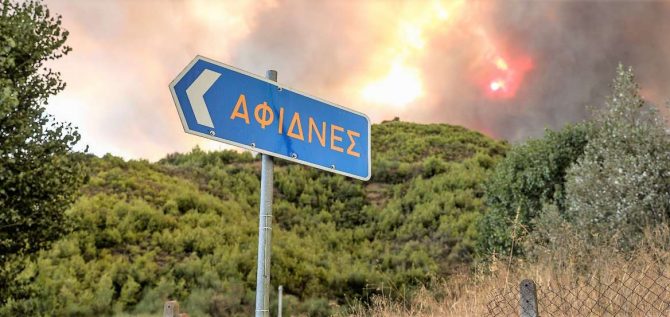 Φωτιά στη Βόρεια Αττική: Καίγονται σπίτια σε Αφίδνες και Δροσοπηγή – Εντολή εκκένωσης για την Ιπποκράτειο Πολιτεία