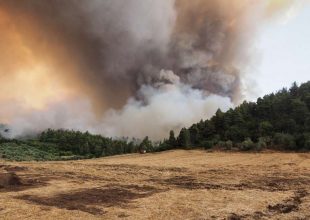 Φωτιά στην Εύβοια: 30 χιλιόμετρα το πύρινο μέτωπο – Εκκενώθηκαν Ροβιές και Παλαιοχώρι, στις παραλίες οι κάτοικοι