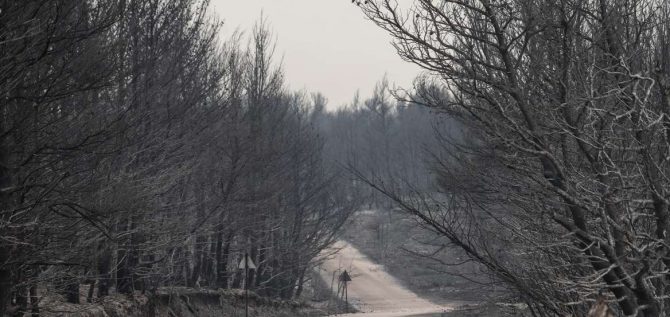 Πατούλης για φωτιές στην Αττική: Οργανωμένο σχέδιο εμπρησμού που θυμίζει το 2007