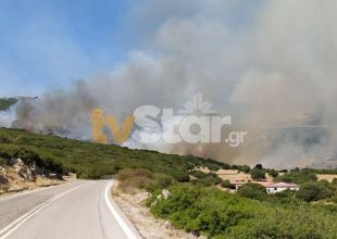 Φωτιά στη Νότια Εύβοια – Στην περιοχή Πετριές