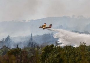 Νέα φωτιά στην Εύβοια: Καίγεται δάσος στο Μίστρο