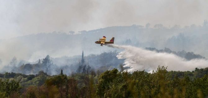 Νέα φωτιά στην Εύβοια: Καίγεται δάσος στο Μίστρο