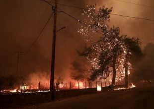 Εύβοια: Πύρινο μέτωπο απειλεί το Ασμήνιο – Μήνυμα 112 για εκκένωση