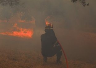 Φωτιές: Αναζωπυρώσεις σε Εύβοια και Γορτυνία – Τις 18 έφτασαν οι συλλήψεις για εμπρησμούς