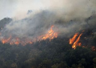 Φωτιά στη Μάνη: Κρίσιμη η κατάσταση – Ζημιές σε σπίτια, εκκενώθηκαν χωριά