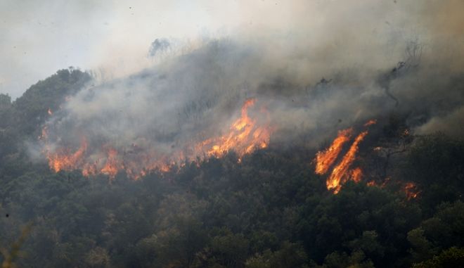 Φωτιά στη Μάνη: Κρίσιμη η κατάσταση – Ζημιές σε σπίτια, εκκενώθηκαν χωριά