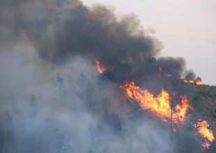 Προς την Πετρούπολη η φωτιά από τα Άνω Λιόσια