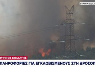 Πύρινος εφιάλτης στη Δροσοπηγή: 3 τραυματίες στο νοσοκομείο – Έκλεισε η Ε.Ο. Αθηνών-Θεσσαλονίκης