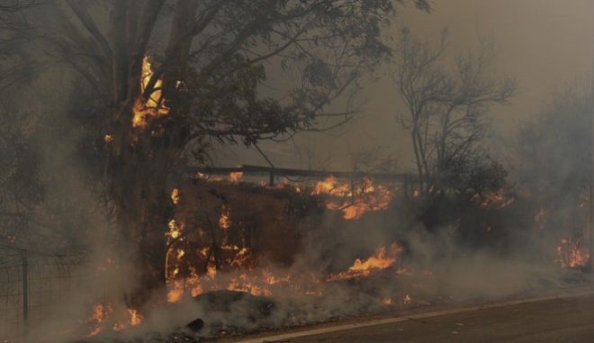 Αχαϊα: Συγκλονιστικές εικόνες από τη μεγάλη φωτιά